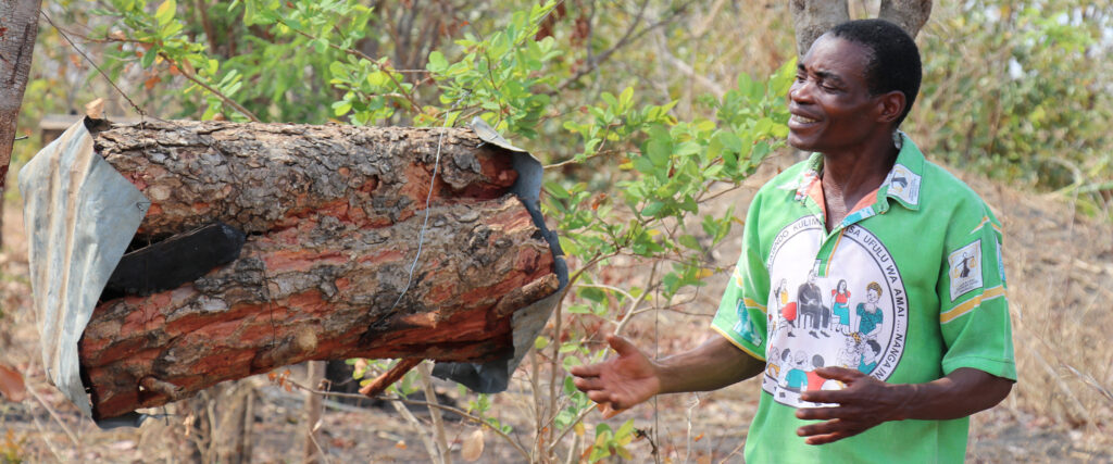 Man i Malawi med traditionell bikupa